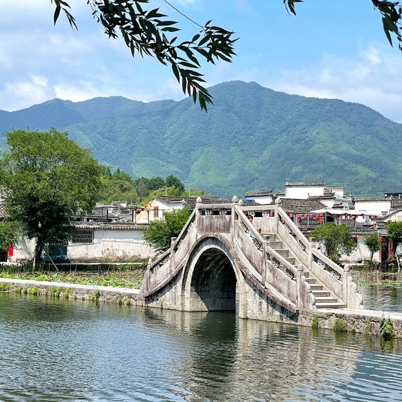 Meet your Posher, Wendy - Picture 1 of 1